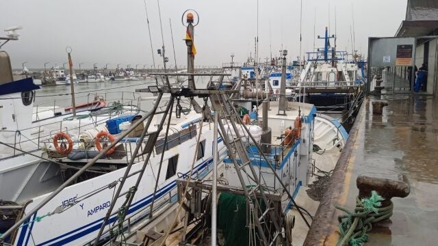 Barcos pesqueros de Sanlúcar amarrados al puerto en una foto de archivo
