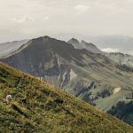 El queso de los Alpes suizos
