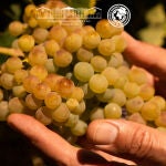 Bodegas Franco-Españolas obtiene la certificación SWfCP