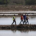 Conceden la licencia a ANSE para que se encargue de la restauración de las balsas de las Salinas de Marchamalo