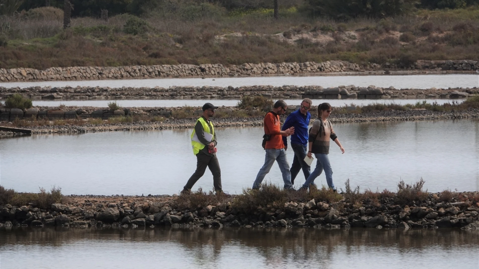 Conceden la licencia a ANSE para que se encargue de la restauración de las balsas de las Salinas de Marchamalo