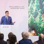 Pedro Sánchez, durante la presentación del Valle Andaluz del Hidrógeno Verde