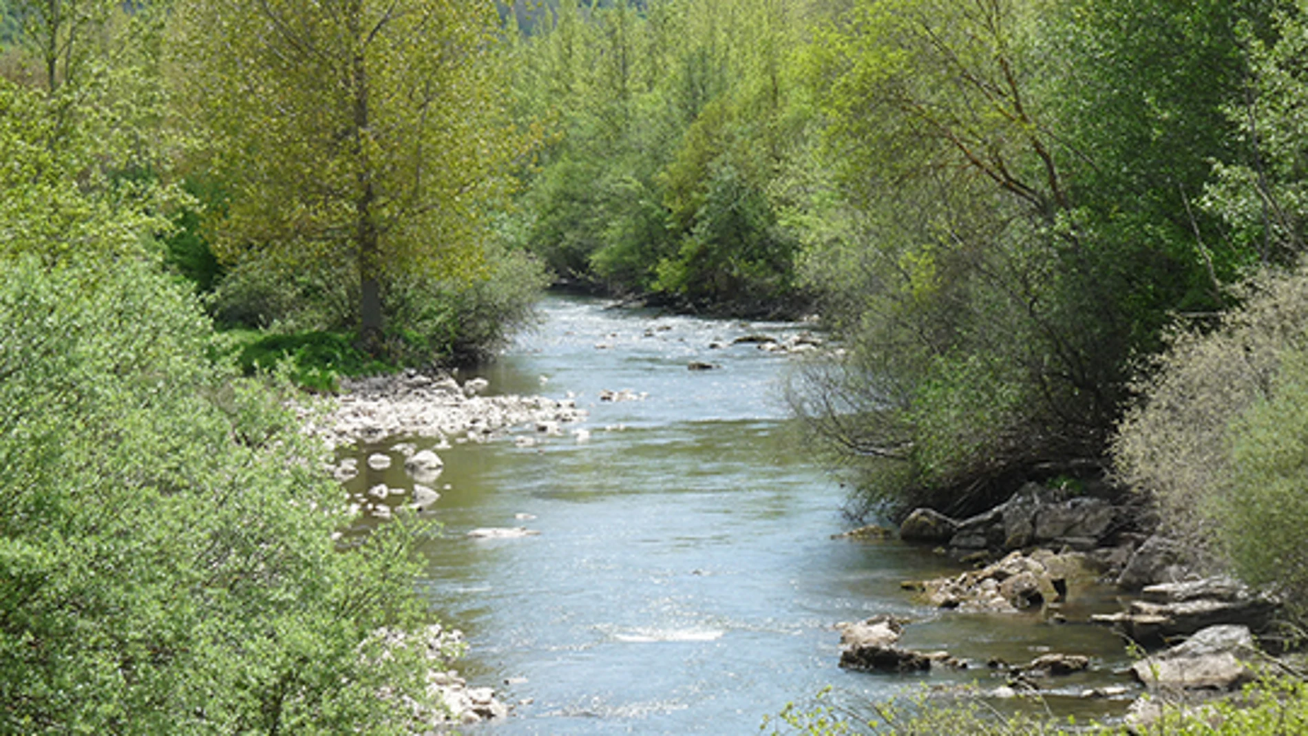 Río Ebro en Valderredible