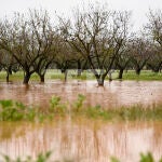 En la Comunidad Valenciana hay riesgo de DANA; en la imagen, vista general de campos inundados alrededor de Cabanes, Castellón, hoy