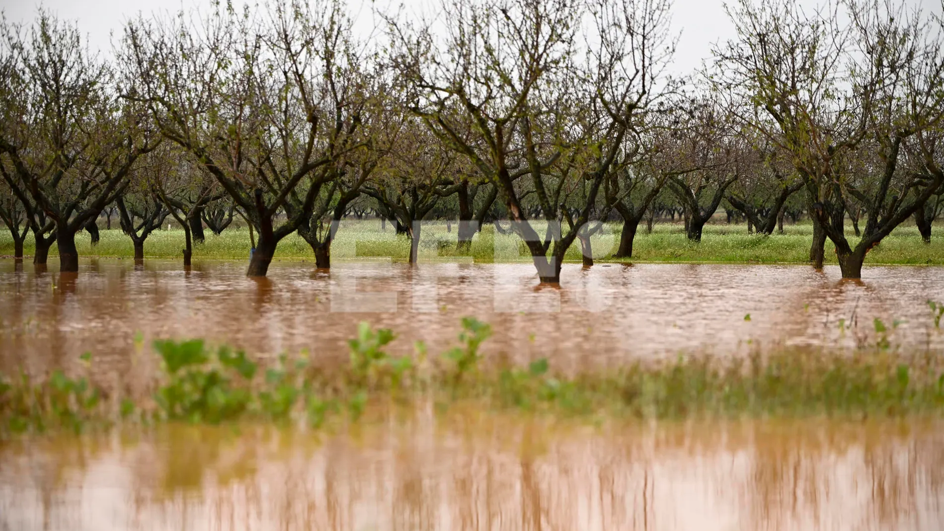 En la Comunidad Valenciana hay riesgo de DANA; en la imagen, vista general de campos inundados alrededor de Cabanes, Castellón, hoy