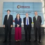 Integrantes del grupo de trabajo