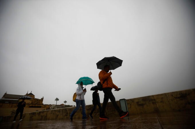 El temporal ha dejado cientos de incidencias en Andalucía