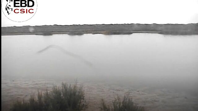 Aspecto actual de la laguna de Santa Olalla, con abundante agua