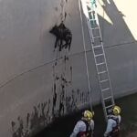 Imagen del rescate de un perro atrapado en una balsa de aguas residuales en Palomeque (Toledo)