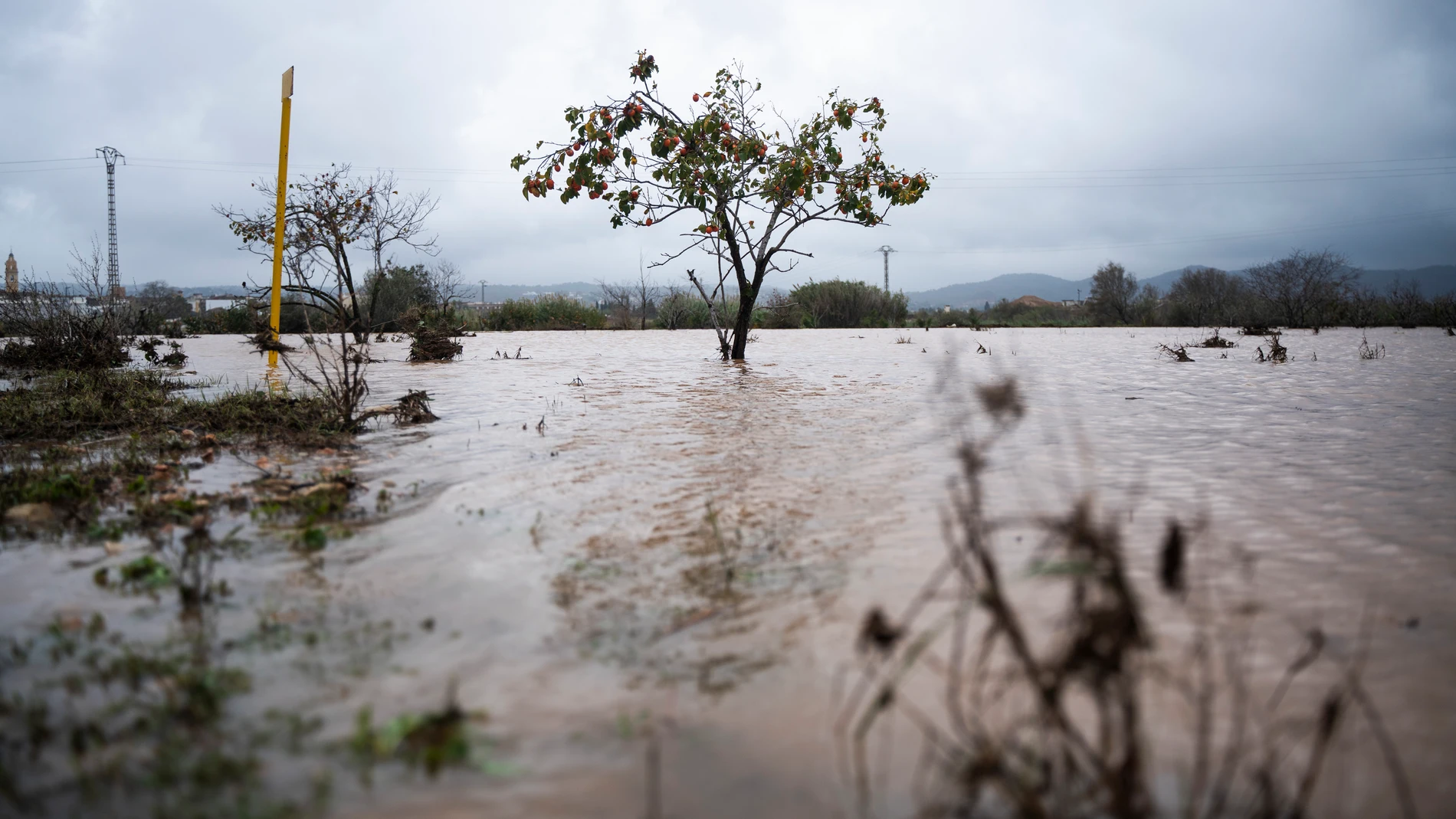 Imagen de las lluvias caídas en la comarca de La Ribera de Valencia JORGE GIL/EUROPA PRESS 29/10/2024