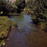 Río Riaza