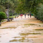 Efectos de las lluvias en las provincias de Cádiz y Sevilla 