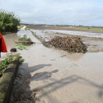 Zona anegada de agua por las lluvias en San Isidro del Guadalete, Jerez de la Frontera