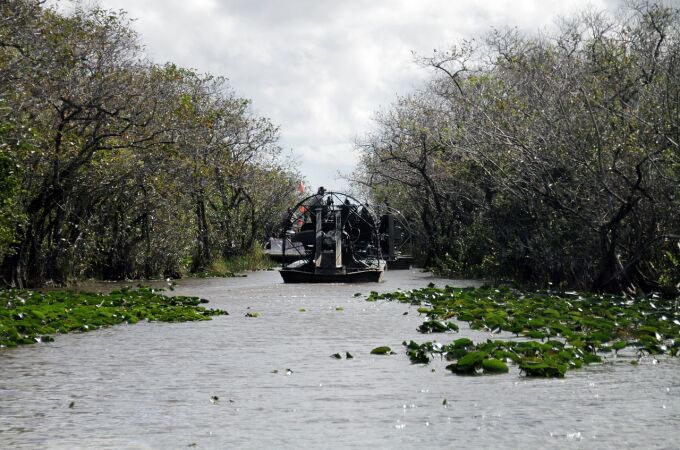Everglades en Florida