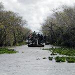 Everglades en Florida