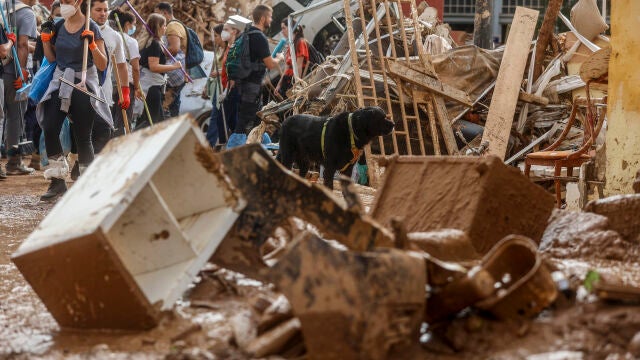 Voluntarios trabajan en una de las zonas afectadas por la DANA