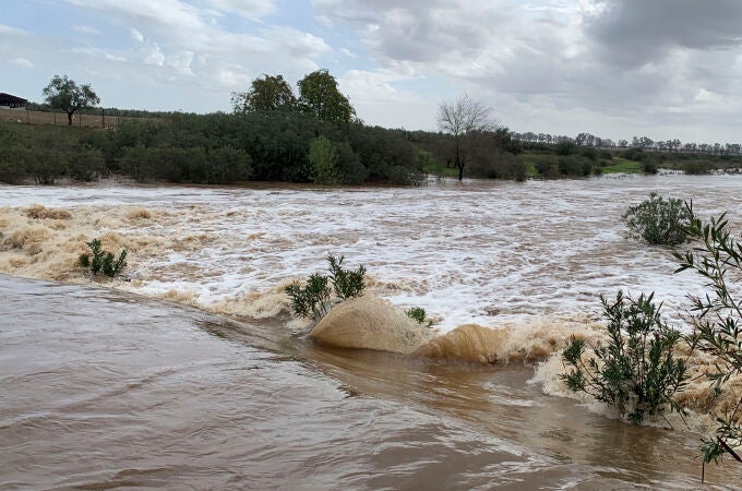 Crecida del río Guadiamar tras las intensas lluvias