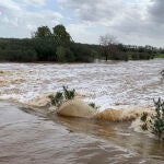 Crecida del río Guadiamar tras las intensas lluvias