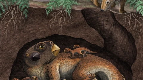 Interpretación artística de un dinosaurio Psittacosaurus con crías siendo cazado por un mamífero Repenomamus. Una formación fósil en Yixian conservó los restos de estas especies en combate mortal, congeladas en plena acción. Aquí, el dinosaurio se muestra con proto-plumas erizadas en la cola.
