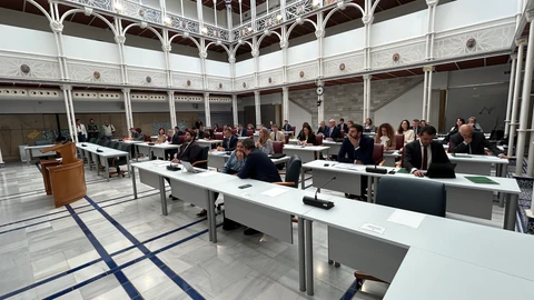 La Asamblea Regional aprueba una Declaración Institucional de apoyo a los afectados por la DANA