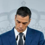 Pedro Sánchez da una rueda de prensa tras el Consejo de Ministros