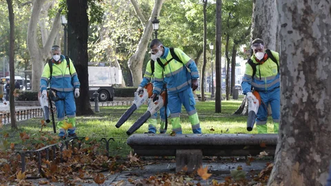 Limpieza de hojas en Madrid