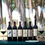 La bodega produce 600.000 botellas al año repartidas entre sus seis marcas: Cepa Gavilán Crianza, Viña Pedrosa Crianza, Finca La Navilla, Viña Pedrosa Reserva, Viña Pedrosa Gran Reserva y Pérez Pascuas Gran Selección. 