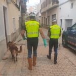 Mossos envía a Valencia tres perros especializados en la búsqueda de desaparecidos