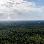 La Amazonía brasileña, una de las zonas en el punto de mira de la nueva ley