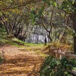 Octubre fue un mes cálido y húmedo en Cantabria