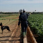 Situación en Valencia tras el paso de la dana