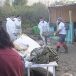 Diferentes operativos compuestos por profesionales y voluntarios trabajan en las zonas afectadas por la DANA en Málaga, este martes en la comarca del Valle del Guadalhorce