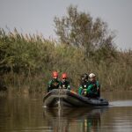 Temporal.- Localizan dos cuerpos en l'Albufera y otro en Pedralba (Valencia)