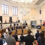 El pleno de la Diputación de Alicante en una imagen de archivo