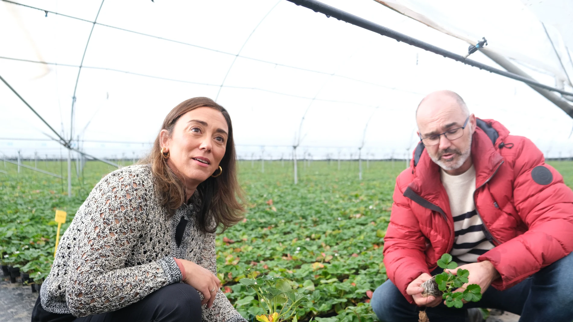 La consejera González Corral durante la jornada técnica y de campo en Chañe (Segovia)