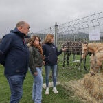 MIguel Ángel de Vicente en la Feria de Ganado de Navafría 