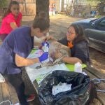 Veterinaria del Ceu San Plablo cura a un animal herido en Valencia