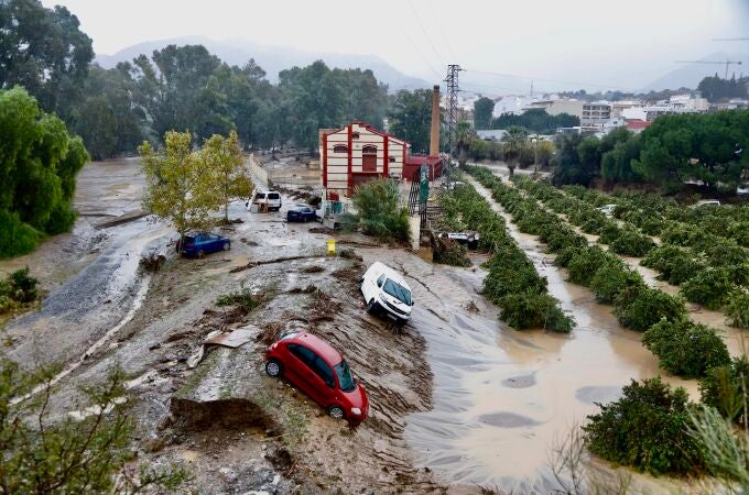 Coches destrozados tras el paso de la Dana en la provincia de Málaga