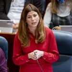 Más Madrid destituye a Arenillas como portavoz del partido en la Comisión de Mujer de la Asamblea tras el 'caso Errejón'