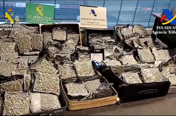 Sucesos.- Cuatro detenidos en el Aeropuerto Tenerife Sur al llevar más de cien kilos de marihuana en sus maletas