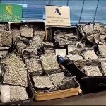 Sucesos.- Cuatro detenidos en el Aeropuerto Tenerife Sur al llevar más de cien kilos de marihuana en sus maletas