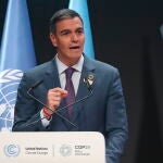 UN Climate Change Conference COP29