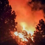 Un conato de incendio forestal obliga a evacuar a unas 200 personas en El Paso (La Palma)