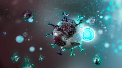 El enterovirus es una afección grave que puede provocar meningitis aguda letal en bebés