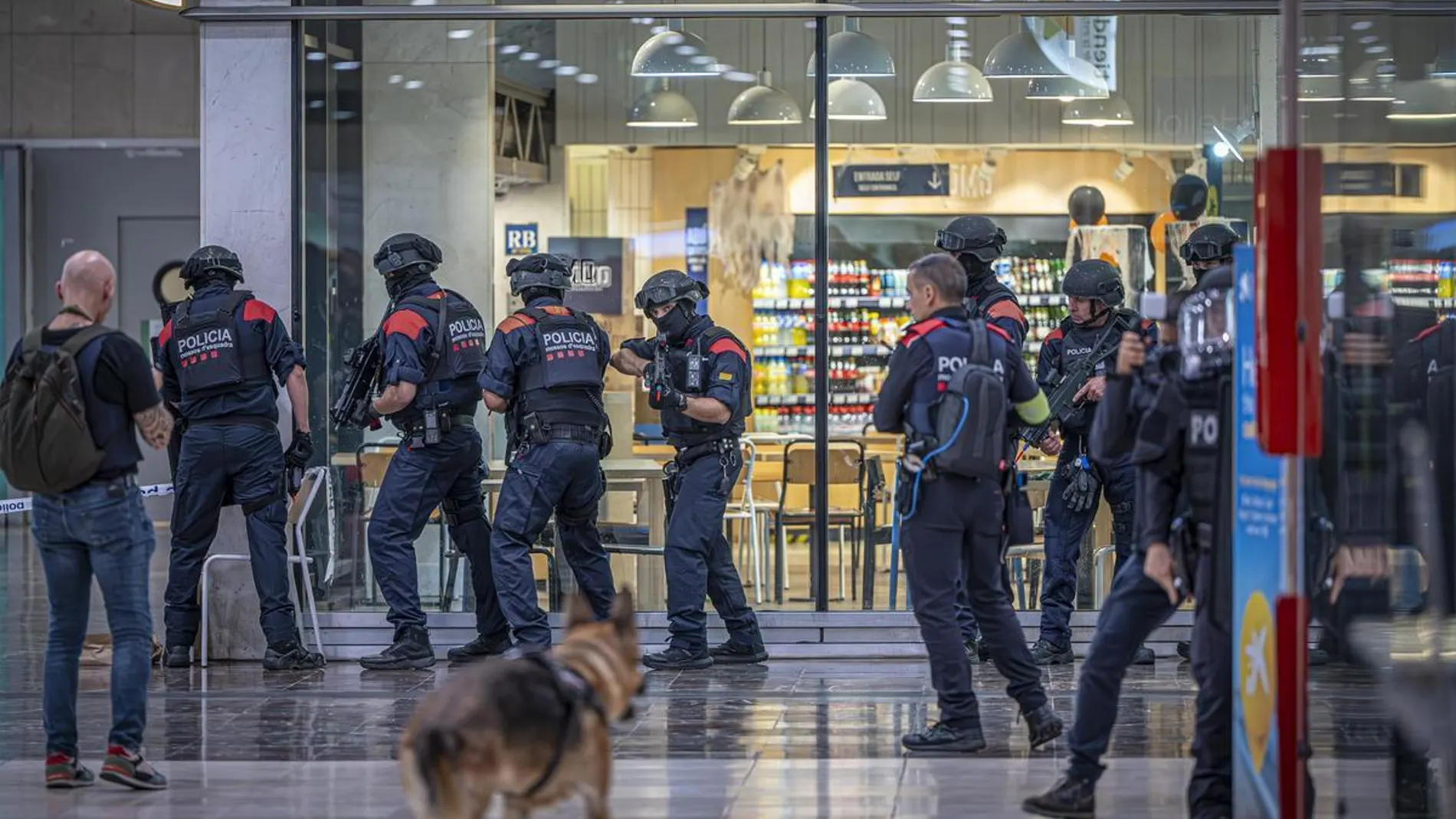 Simulacro con más de 20 agentes