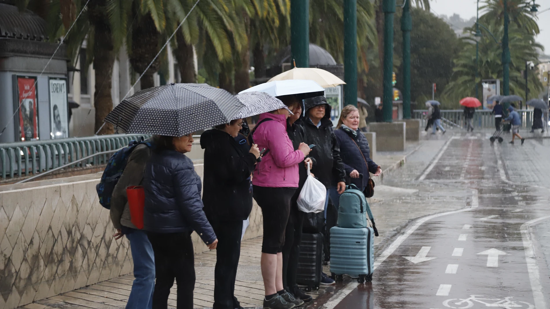 La DANA inunda Málaga: posibles desbordamientos y calles totalmente anegadas