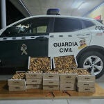  Tres denunciados en el Castro de Fuentidueña (Segovia) al portar 65 kilos de níscalos recolectados ilegalmente