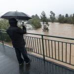 Río Campanillas a su paso por Málaga, a punto de desbordarse por la DANA