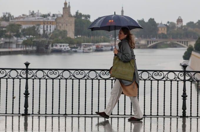 Una mujer resguardada por un paraguas camina por Sevilla capital 