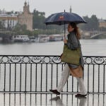 Una mujer resguardada por un paraguas camina por Sevilla capital 